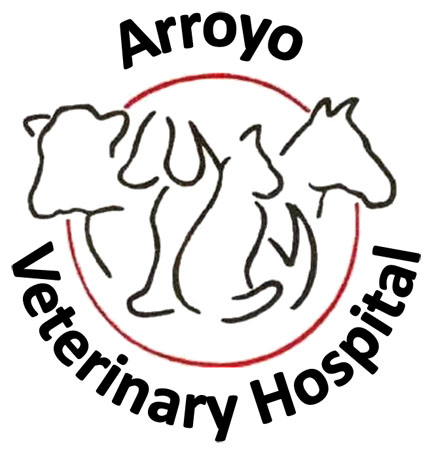 Arroyo Veterinary Hospital | Harlingen 